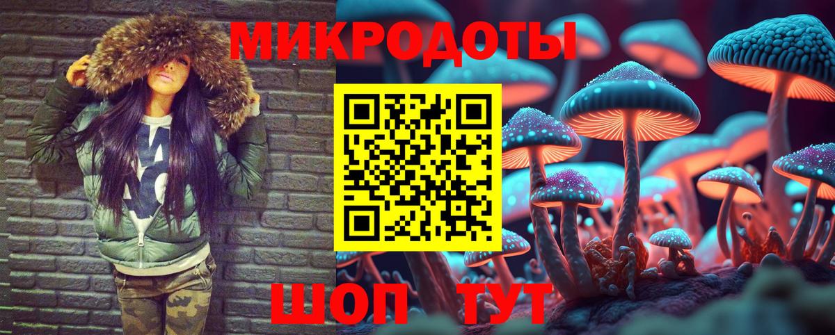 Псилоцибиновые грибы MAGIC MUSHROOMS Тимашёвск