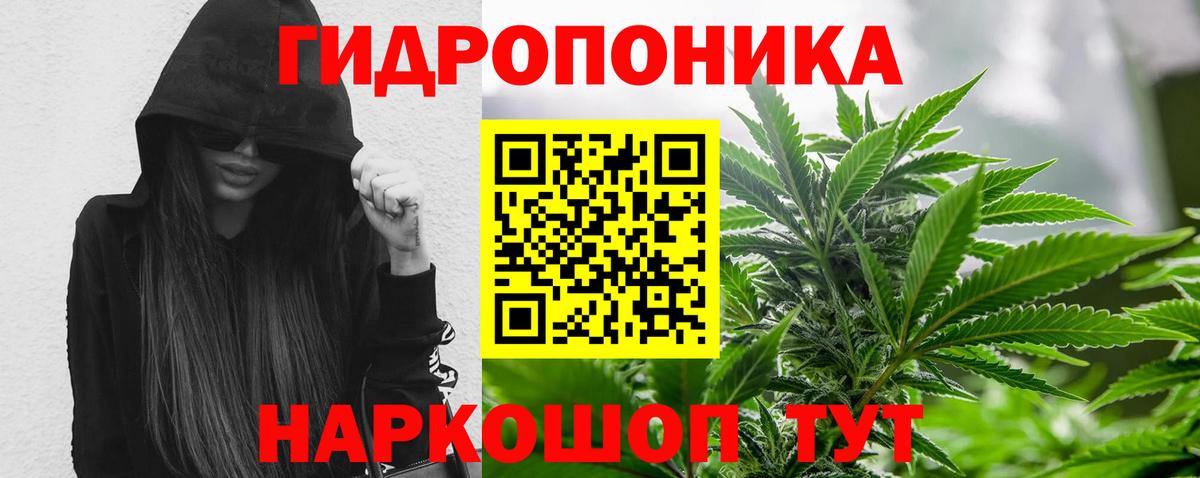МАРИХУАНА планчик Тимашёвск